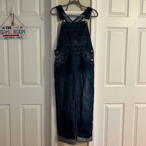 NWOT Free People Ziggy Overalls